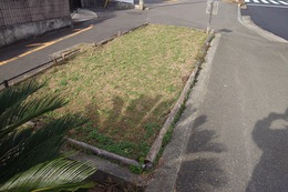 香西中央通り花壇歩道側の劣化した竹柵(衛生組合協議会撮影) 香西中央通り花壇歩道側の劣化した竹柵