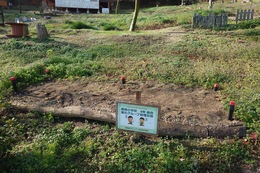 小学校美化グループ管理花壇(衛生組合協議会撮影) 小学校美化グループ管理花壇