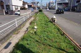 芮ł