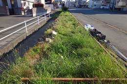 作業前の状態(環境衛生組合協議会撮影) 作業前の状態