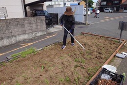 均して種蒔き準備完了(環境衛生組合協議会撮影) 均して種蒔き準備完了