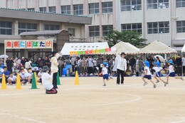 ctEۈ珊