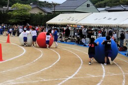 ʂ낪