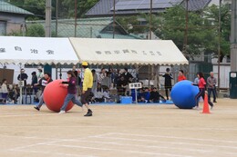 ʂ낪