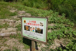 N炭̂14ڂǍЂ܂ɂȂ܂