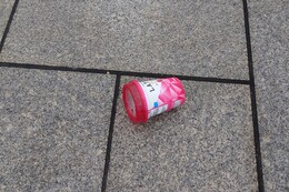 捨てられていたごみをいくつか(環境衛生組合協議会撮影) 捨てられていたごみをいくつか