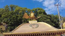 今年の香西の神輿は鳳凰(平賀北秋祭り実行委員会撮影) 今年の香西の神輿は鳳凰