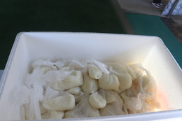 ポリ袋で炊いたご飯 ポリ袋で炊いたご飯