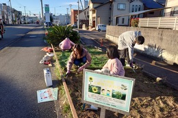 先ずは花壇の雑草抜きから 先ずは花壇の雑草抜きから