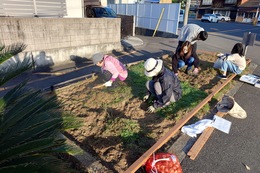 雑草抜き 雑草抜き
