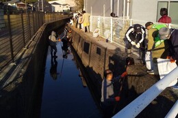 愛染川上流(香西中央公園周囲)(釣西環境衛生組合撮影) 愛染川上流(香西中央公園周囲)
