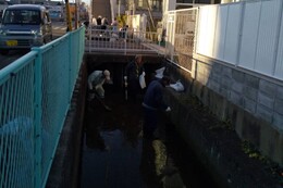 愛染川上流(香西中央公園周囲)(釣西環境衛生組合撮影) 愛染川上流(香西中央公園周囲)