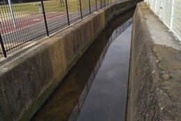 愛染川上流(香西中央公園周囲)(釣西環境衛生組合撮影) 愛染川上流(香西中央公園周囲)