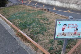 Aエリアの作業前(環境衛生組合協議会撮影) Aエリアの作業前