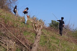 伐採した木の処理状況(環境衛生組合協議会撮影) 伐採した木の処理状況