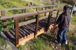 丸太橋の塗装(環境衛生組合協議会撮影) 丸太橋の塗装