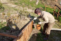 土留め木柵の塗装(環境衛生組合協議会撮影) 土留め木柵の塗装