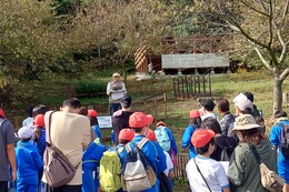 里山・登山道・勝賀城跡のお話を聞きました(環境部会撮影) 里山・登山道・勝賀城跡のお話を聞きました