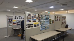 �e�n��̊����W��