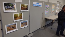 �e�n��̊����W��