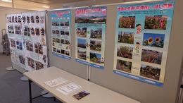 �����n��̊����W��