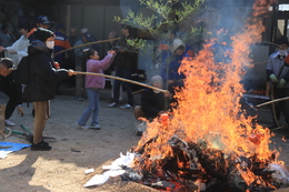 ��ʎQ���݂̂���Ă�