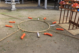 �_���Ŏg���铹��