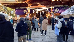 �F�������̏��w