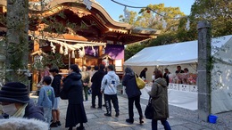 �F�������̏��w