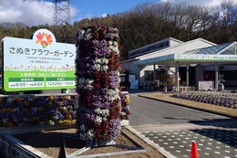 ���C��Ɋ�������ʂ��t�����[�K�[�f��