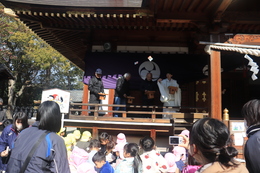 ���܂��̗l�q