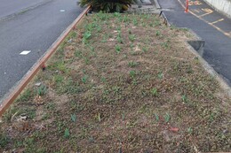 A�G���A�@before