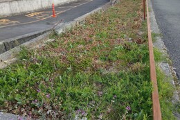 B2�G���A�@before