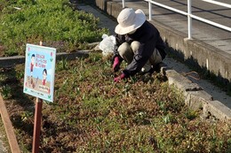 �G�������̗l�q�@B1�G���A