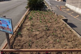 A�G���A�@after