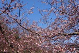 �������R�������̏ꑑ����i�G�h�q�K���j